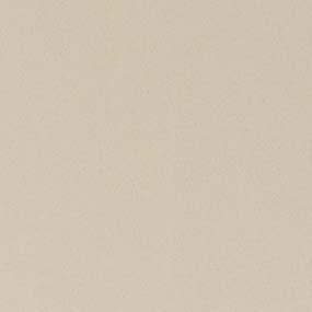 Ash Gray Quartz Countertop