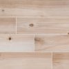 Natural Forest Porcelain Wood Tile