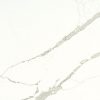 Carrara Marmi Quartz Countertop