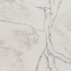Calacatta Taj Quartz Countertop