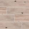 Palmetto Cognac Porcelain Wood Look Tile