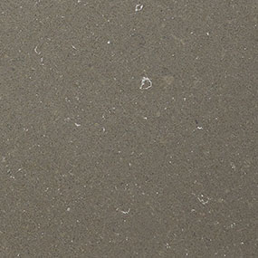 Fossil Brown Quartz Countertop