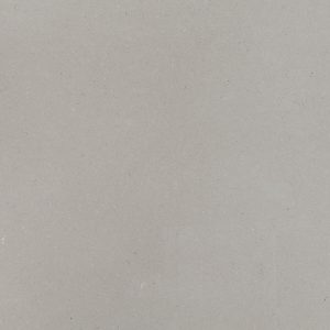 Fossil Gray Quartz Countertop