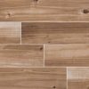 Helena Ash Porcelain Wood Look Tile
