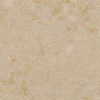 Frost White Quartz Countertop