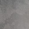 Calacatta Botanica Quartz Countertop