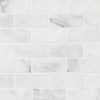 Calacatta Cressa Subway Backsplash Tile