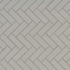 Gray Glossy Fish Scale Mosaic