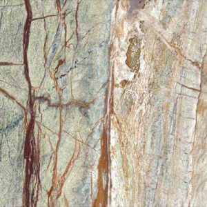 Rain Forest 12x12 Polished Tile