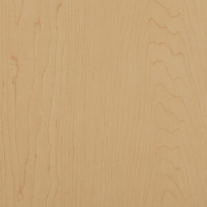 Century Cabinetry Hardrock Maple
